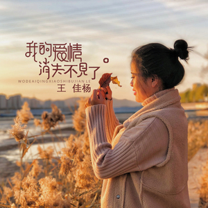 最骚操逼小说视频
