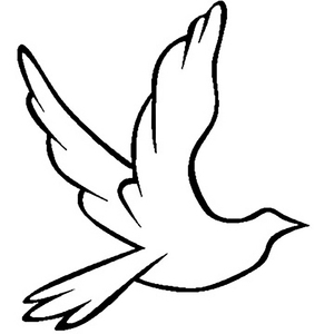 最骚操逼小说视频
